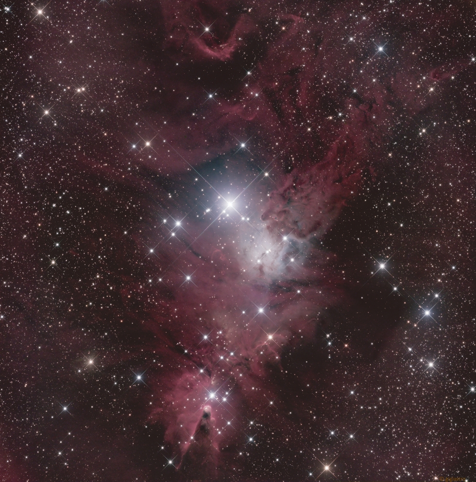NGC 2264 Cone Nebula Christmas Tree Cluster Telescope Live